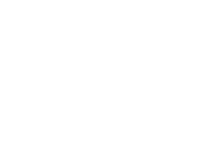 RDS Logo